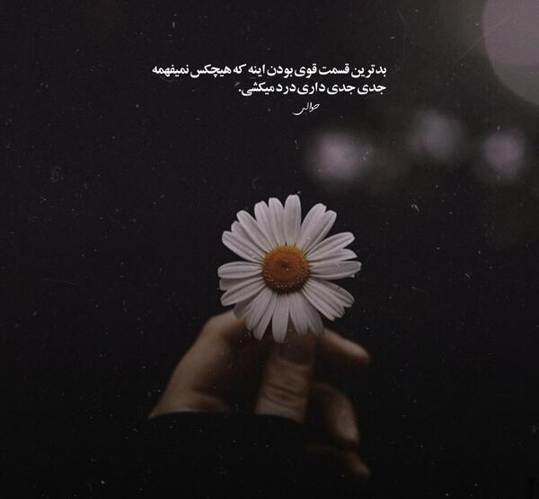 عکس سجاد فرهادی با همسرش