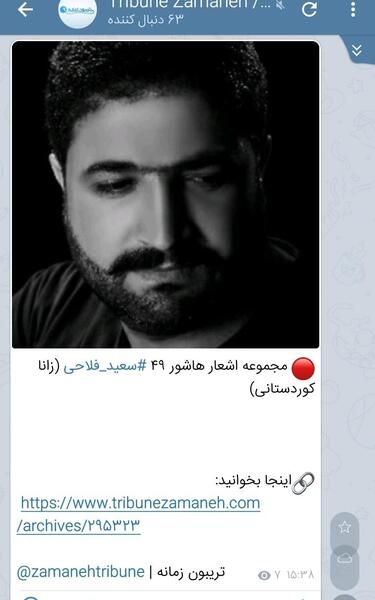 عکس سعید فلاحی