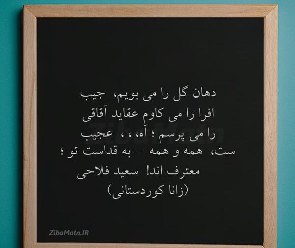 عکس سعید فلاحی