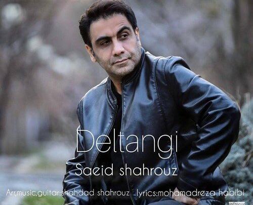 اهنگ عکس سعید شهروز