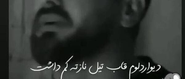 قاب عکس سعید حسینی