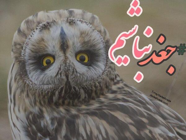 عکس نوشته سحر خیزی