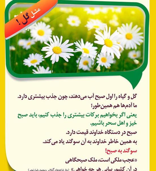 عکس نوشته سحر خیزی
