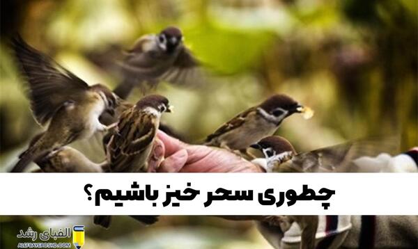 عکس از سحرخیزی