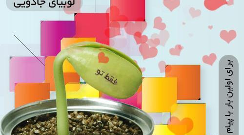 عکس لوبیا سحر آمیز