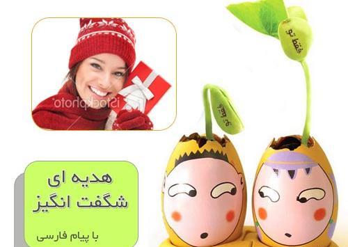 عکس لوبیا سحر آمیز
