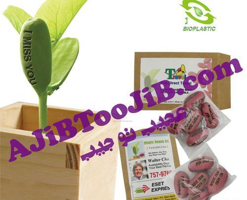 عکس لوبیا سحر آمیز