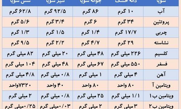 عکس لوبیا سحر آمیز واقعی
