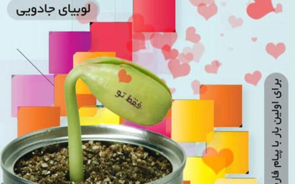 عکس گل لوبیای سحر آمیز