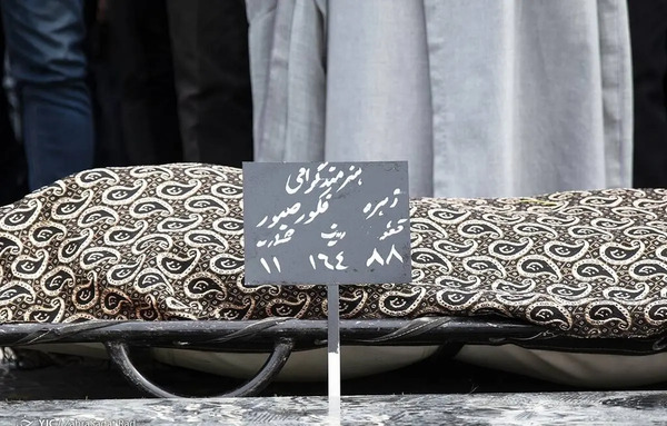 عکس مهران مهام همسر زهره فکور صبور