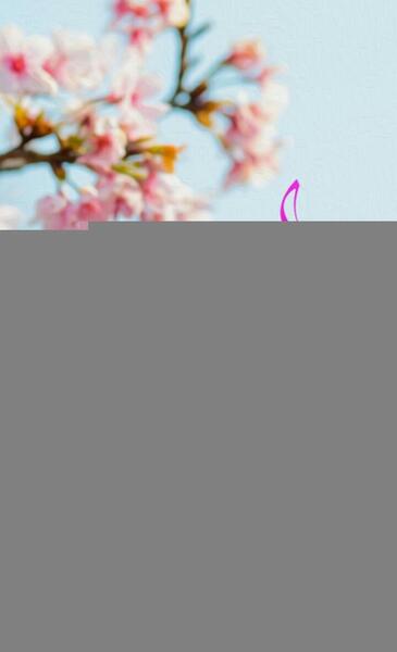 ولادت حضرت زهرا عکس نوشته