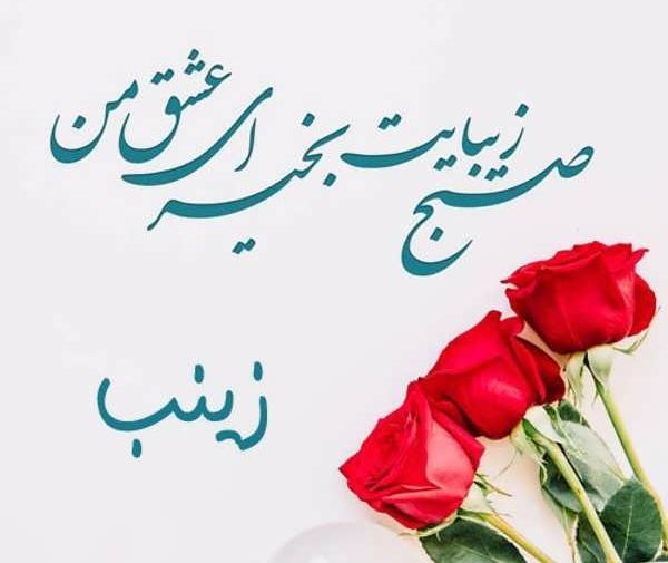 عکس پروفایل زینب جان تولدت مبارک