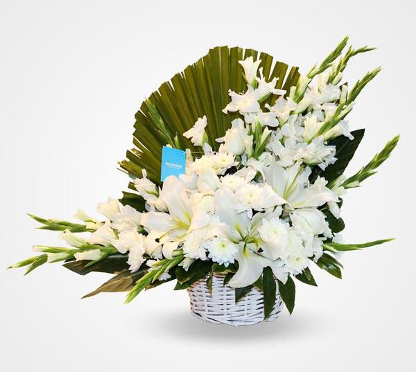 عکس های رضوانه