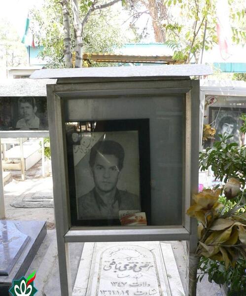 عکس محمد رضا نظری