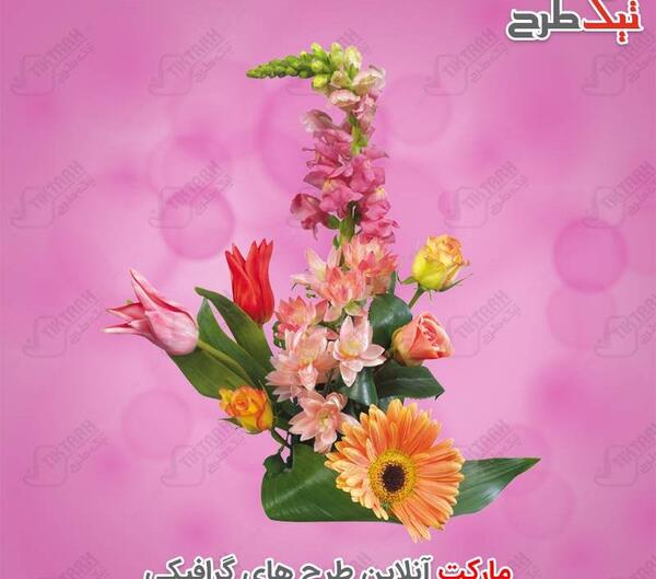 عکس گل رویای