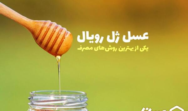 عکس ژل رویال عسل