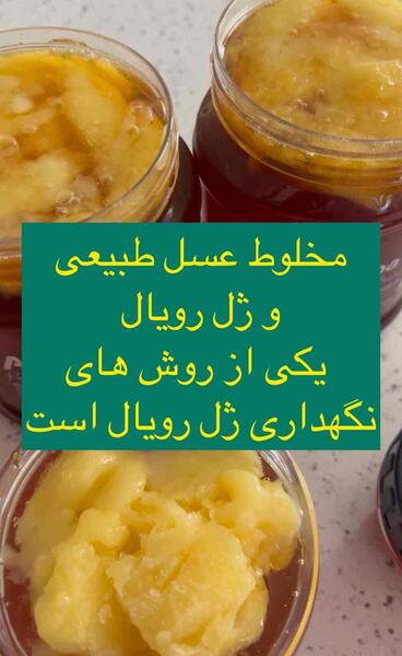 عکس ژل رویال عسل