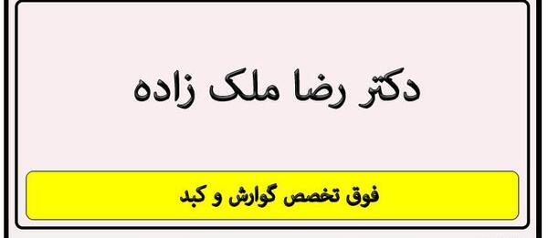 عکس دکتر رضا ملک زاده
