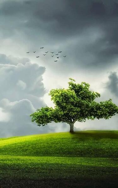 عکس پروفایل رویایی جدید