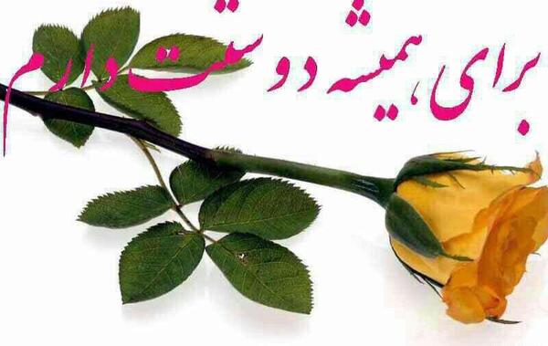 عکس گل با متن دوستت دارم