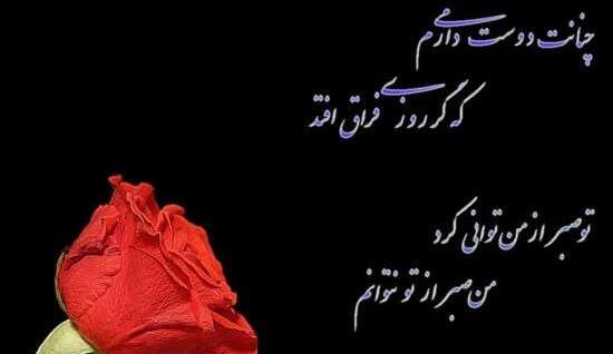 عکس گل عشق دوست دارم برای پروفایل