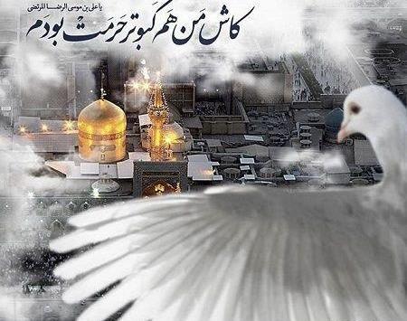 عکس امام رضا خیلی دوست دارم