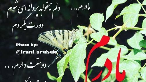 عکس پروفایل مادرم دوستت دارم