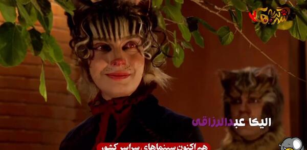 عکس داریوش موفق در شهر گربه ها