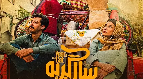 عکس داریوش موفق در شهر گربه ها