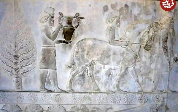 عکس نقش برجسته داریوش در تخت جمشید