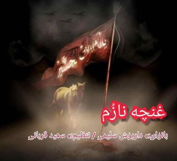 عکس داریوش سلیمی خواننده
