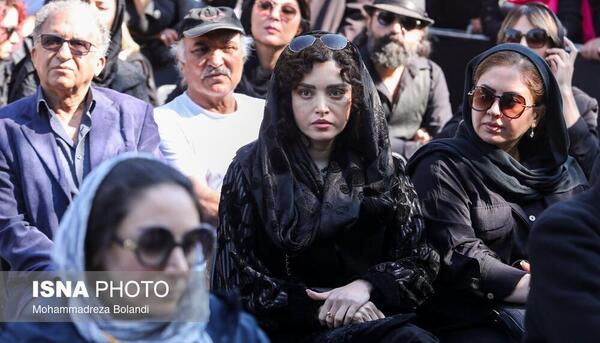 عکس بازیگر داریوش مهرجویی