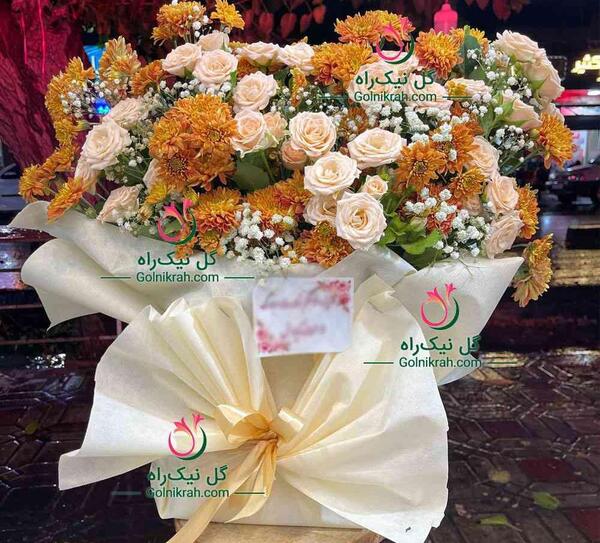 عکس گل داوودی نارنجی