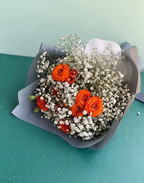عکس گل داوودی نارنجی