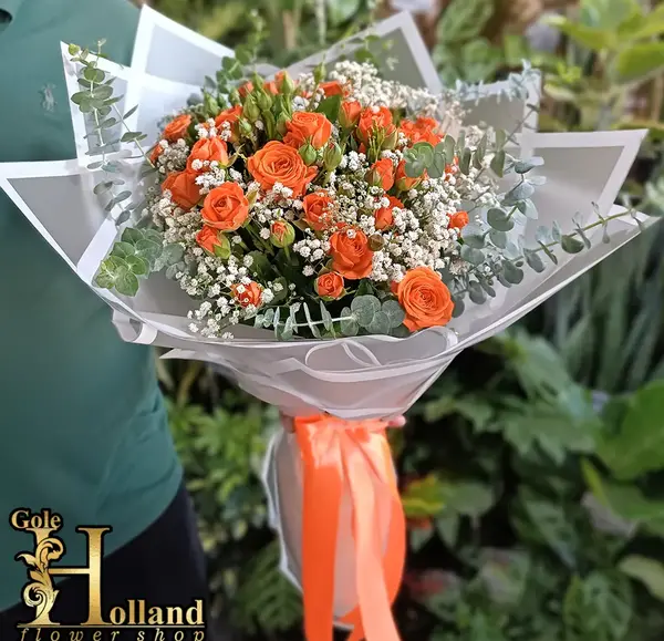 عکس گل داوودی نارنجی