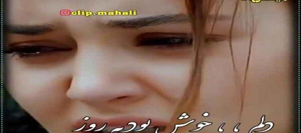 عکس های داوود یونسی