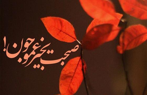 عکس متن دایی عزیزم روحت شاد