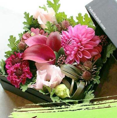 عکس دایی جان تولدت مبارک