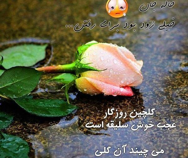 عکس خاله جون روز مادر مبارک