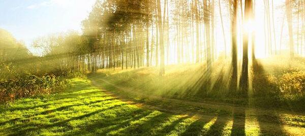 عکس روشنایی خورشید