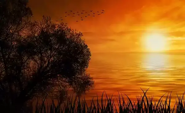 عکس خورشید و طبیعت