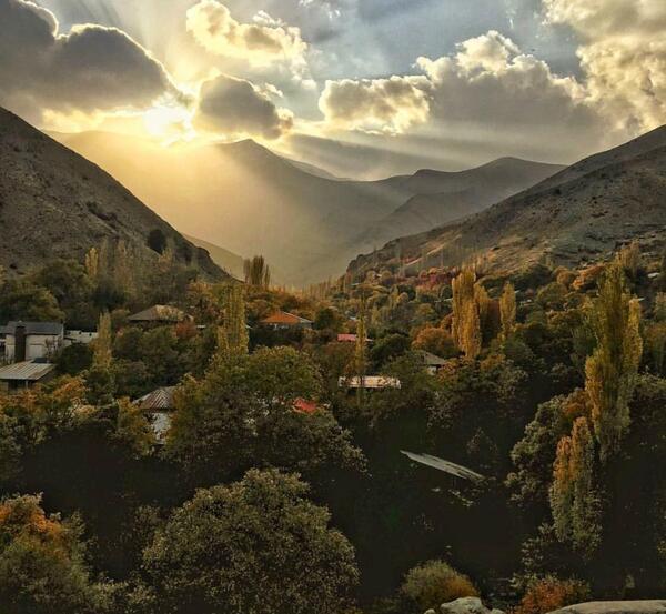 عکس جنگل و خورشید