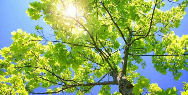 عکس تابش نور خورشید به زمین