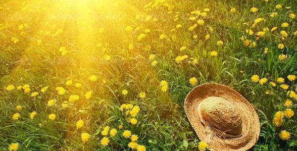 عکس تابش مستقیم نور خورشید
