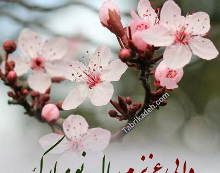 عکس عیدت مبارک خاله