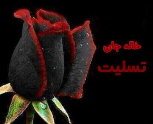 عکس نوشته شوهر خاله عزیزم روحت شاد
