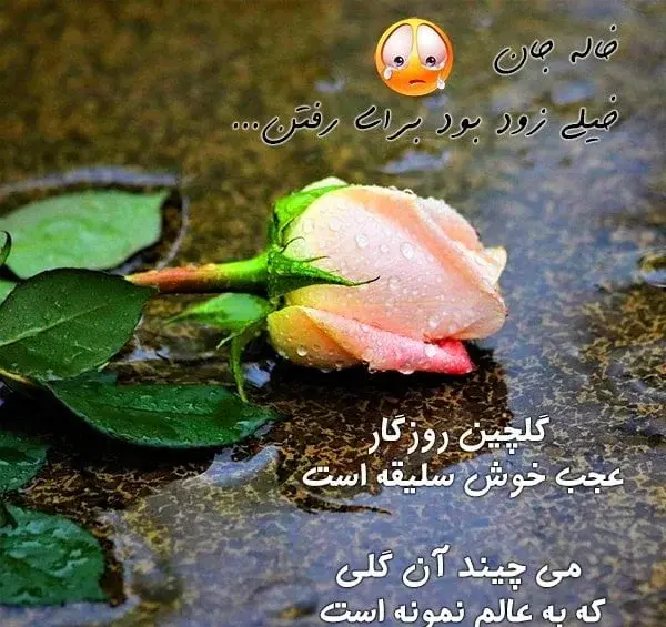 عکس نوشته دوست داشتن خاله
