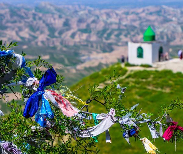 عکس های گورستان خالد نبی