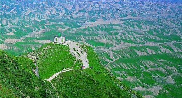 عکس خالد نبی گلستان