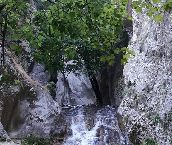 عکس خالد نبی گلستان
